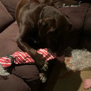 Meet your Posher, Lori